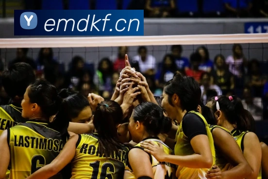 来球网免费直播nba平台生态图